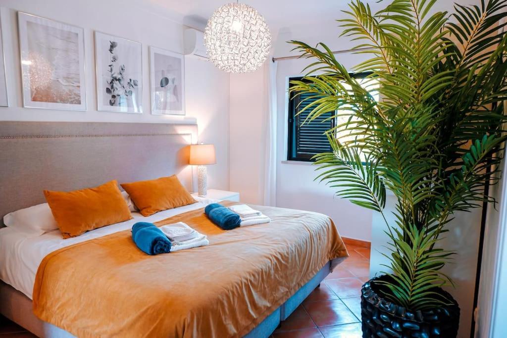 Miracampo - Elegant Secret Albufeira